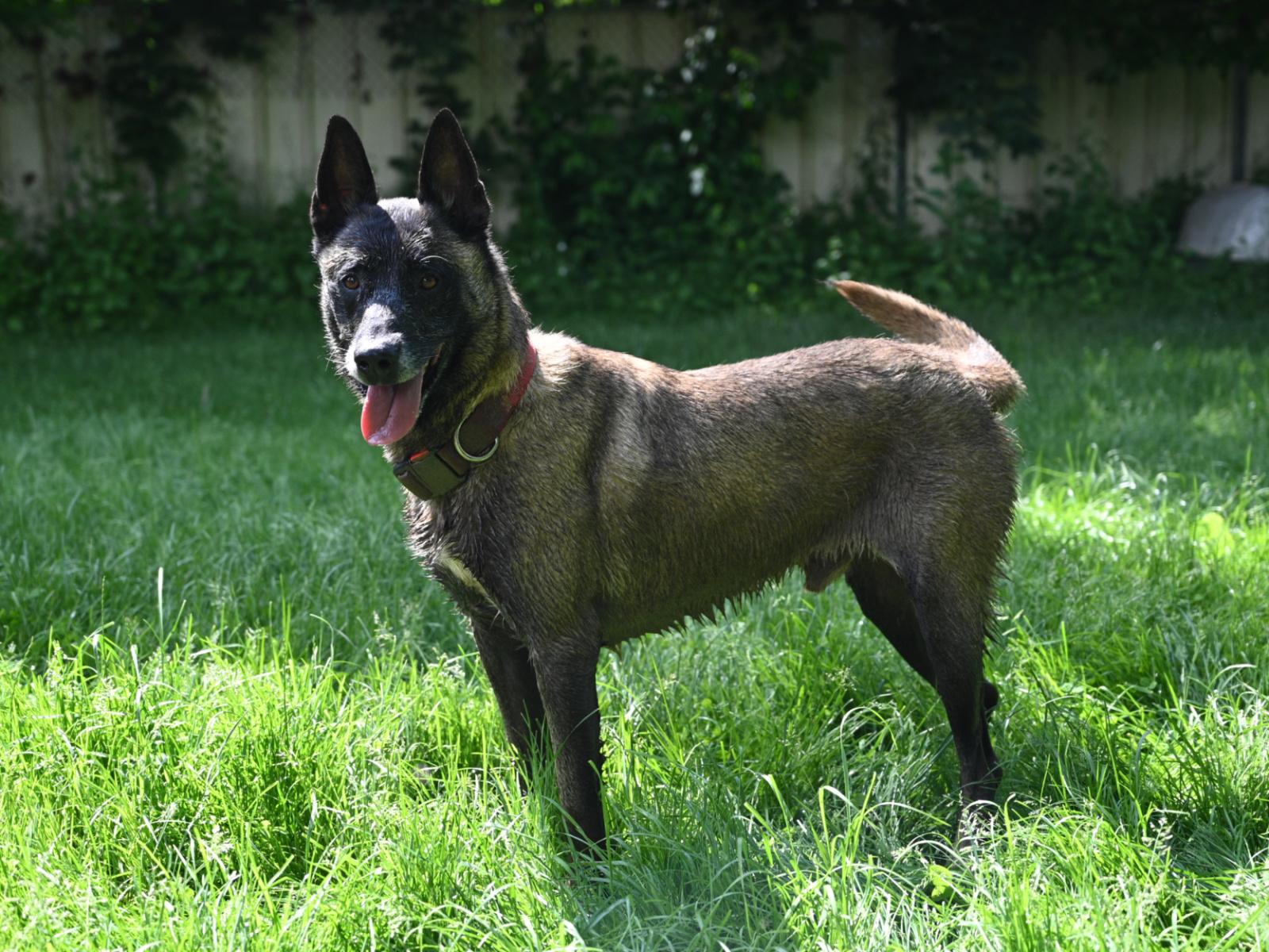 Paxton 060624 5 