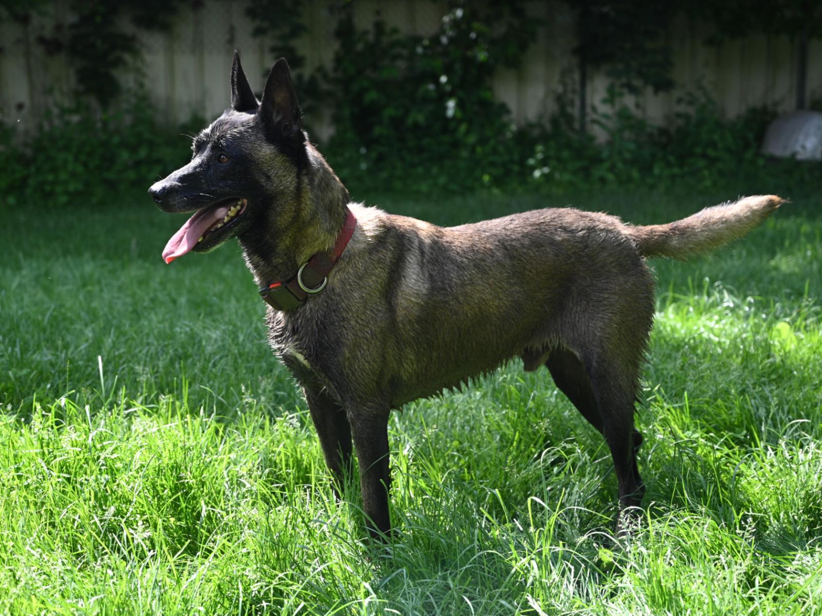 Paxton 060624 6 