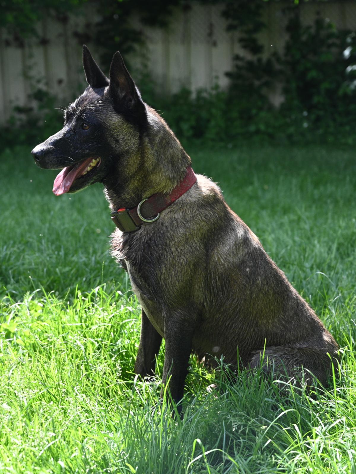 Paxton 060624 7 