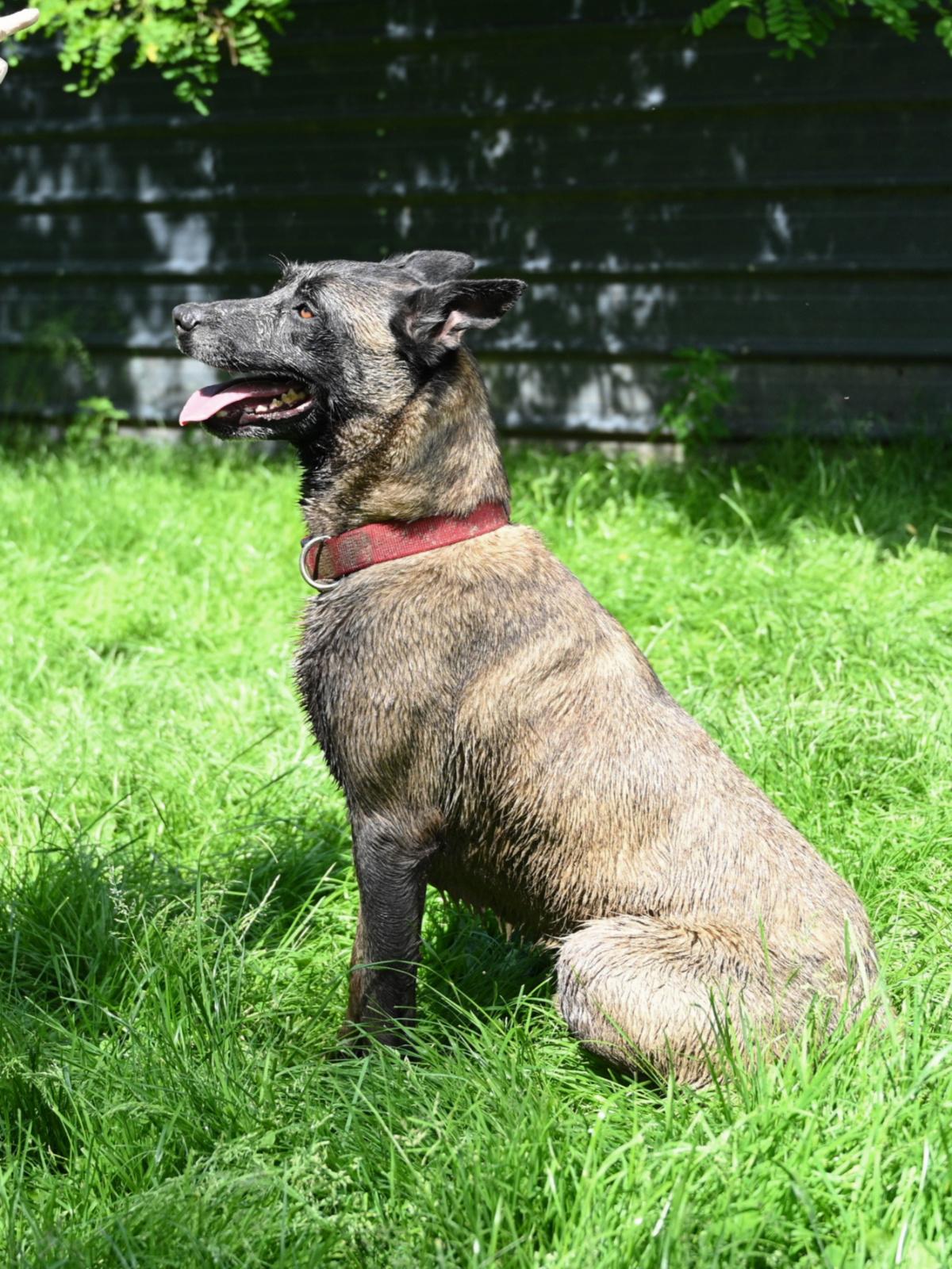 Paxton 060624 9 