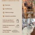 Po juin