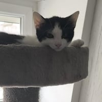 R bibi 010926 1