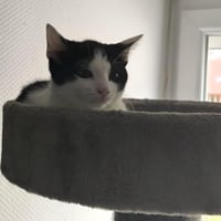 R bibi 010926 2