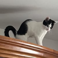 R bibi 010926 4