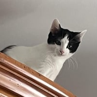 R bibi 010926 5