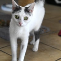 R giulia 010926 2