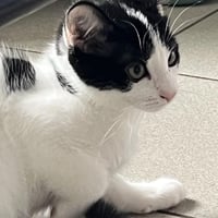 R kiwi 010926 12