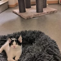 R kiwi 010926 4