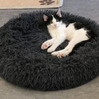 R kiwi 010926 7