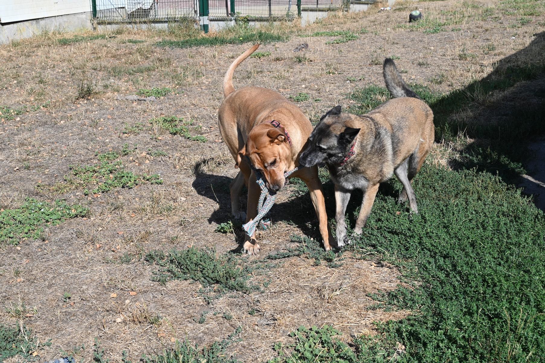 R ramses et guiness 120826 6