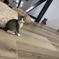 R stella 010926 2