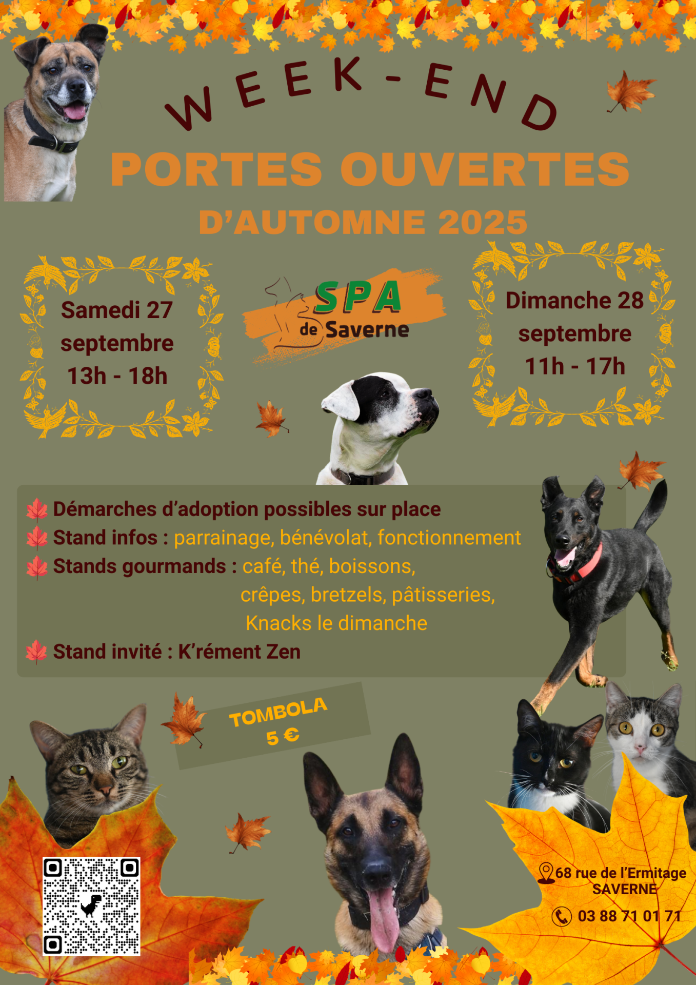 Affiche Portes Ouvertes Refuge SPA 2025