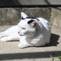Stan 080425 5 