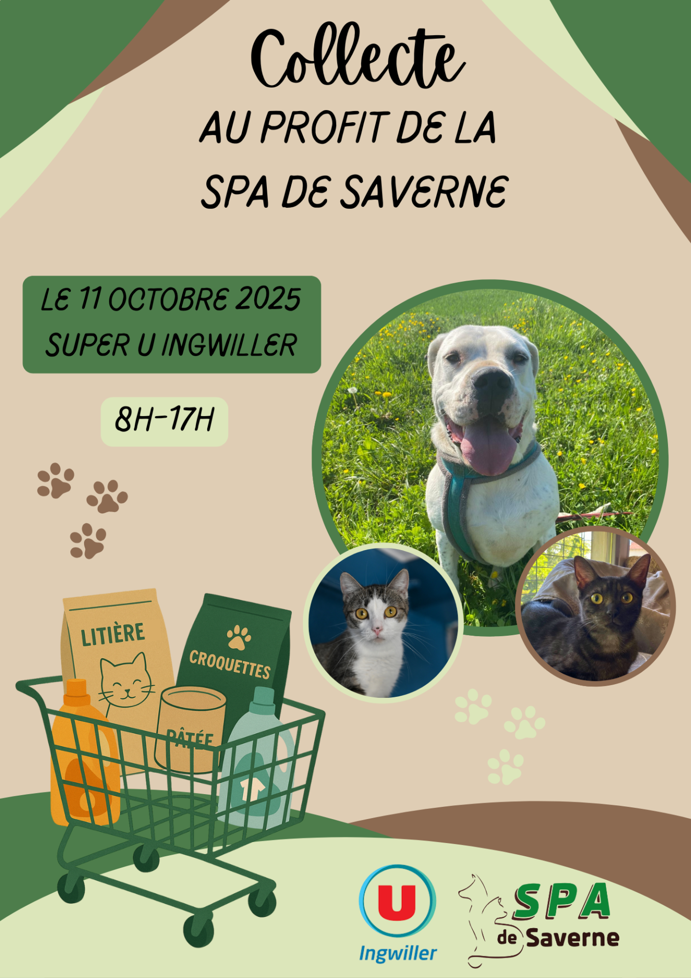Affiche terranimo 181025