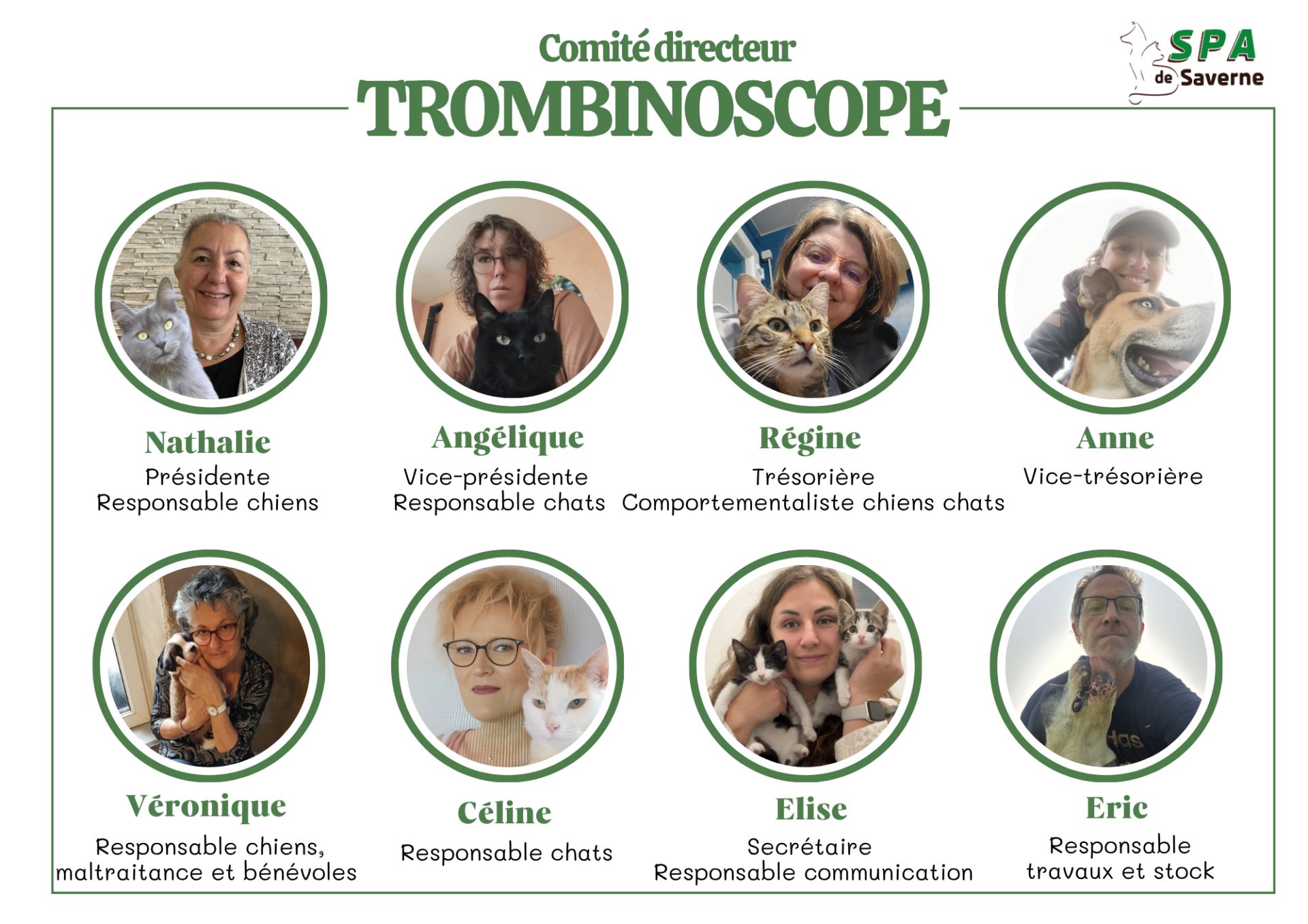 Thrombinoscope comite directeur