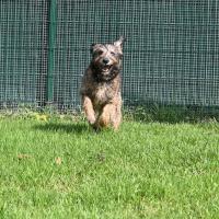 Ziggy 100625 2