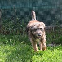 Ziggy 100625 5